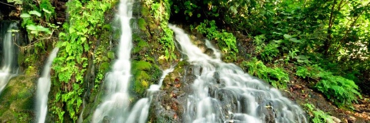 Hatay İli Arı Yetiştiricileri Birliği